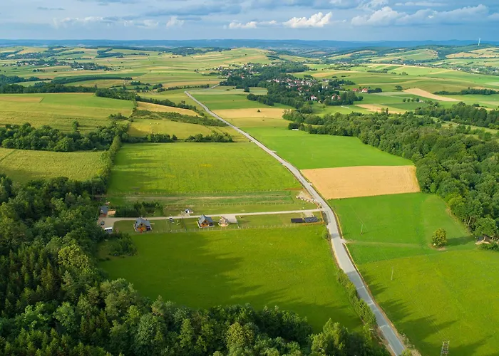 Domki U Niedzwiadka