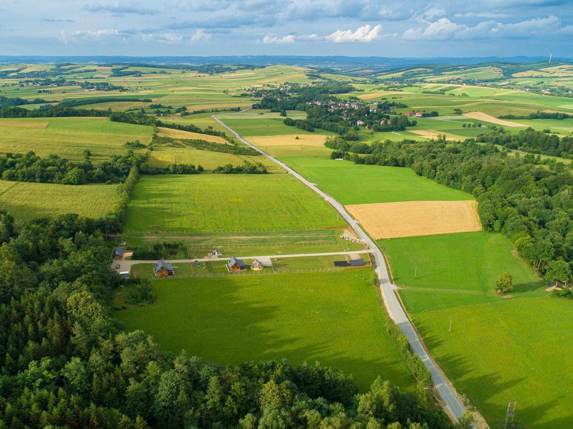U Niedzwiadka Holiday home *
